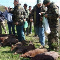 Medio Ambiente dicta las normas y el calendario de caza para 2012 y 2013 en Ceuta
